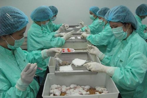 Việt Nam sắp thử nghiệm vaccine ngừa Covid-19 trên người