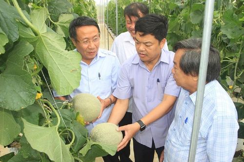 Đề xuất phát triển dự án nông nghiệp công nghệ cao quy mô 5.000ha tại Quảng Trị