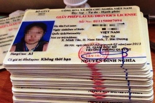 Giấy phép lái xe giả tràn lan, Phó Thủ tướng yêu cầu điều tra, xử lý nghiêm