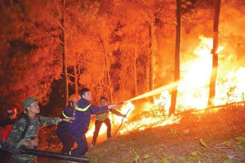 Hàng ngàn người trắng đêm dập cháy rừng ở Nghệ An