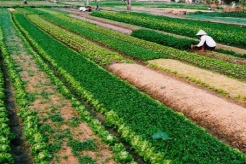 Điều kiện chuyển mục đích sử dụng đất được quy định thế nào?