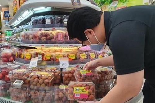 Vải thiều Việt Nam lần đầu tiên sang Singapore