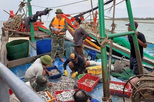 Bắt quả tang 6 tàu cá hoạt động sai vùng biển quy định