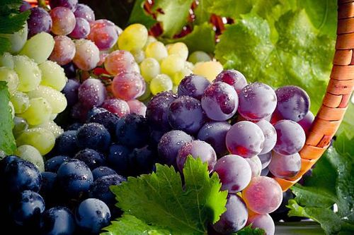 5 loại thực phẩm giúp bảo vệ gan nên bổ sung hàng ngày