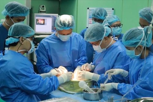 Những cuộc đời được hồi sinh từ nguồn tạng hiến