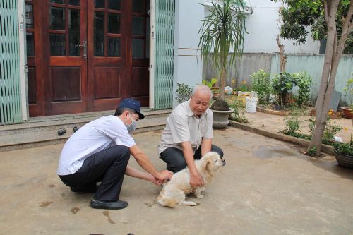 Đắk Lắk: Năm trường hợp tử vong do bệnh dại