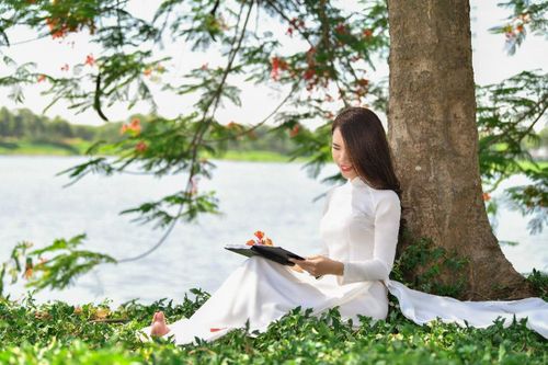 Nữ sinh Hà Thành gây 'sốt' khi diện áo dài trắng, hoa phượng đỏ