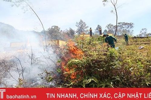 Tiếp tục cứu rừng Hương Sơn dưới nắng nóng 40 độ