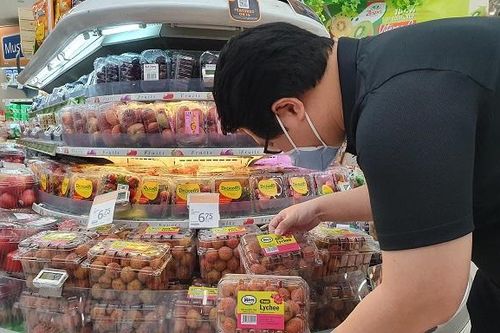 Vải thiều Việt Nam lần đầu tiên có mặt tại Singapore với mức giá rất cạnh tranh