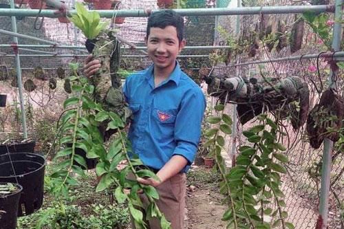 Hòa Bình: Chàng thanh niên làm giàu từ vườn hoa cây cảnh