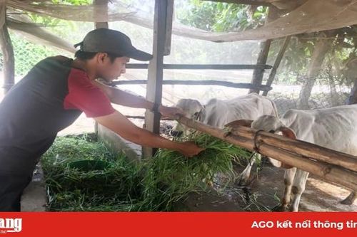 Hiệu quả từ mô hình kết hợp