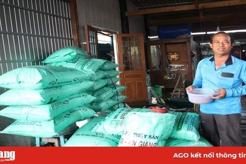 Một nông dân ở Chợ Mới dụ nuôi hàng ngàn cá tra sông tự nhiên trước bến sông nhà để ngắm