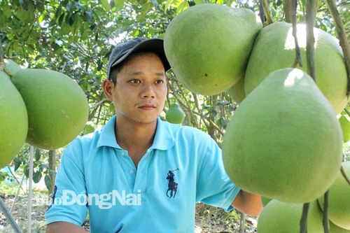 Cách nhìn mới về phát triển nông nghiệp bền vững