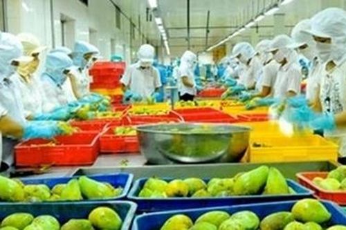 6 tháng đầu năm, xuất siêu nông sản đạt 4,5 tỷ USD