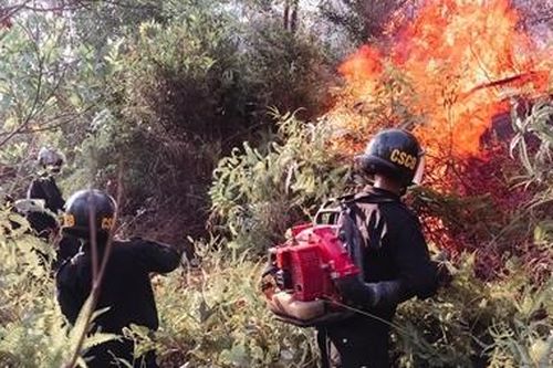 Lực lượng Công an tích cực tham gia chữa cháy rừng tại Hương Sơn