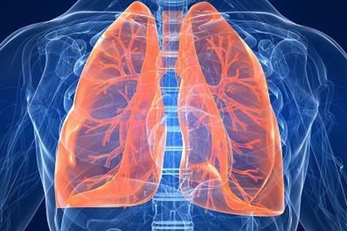 Phổi của chúng ta rất cần được chăm sóc bằng những thực phẩm này: Bạn hãy ăn nhiều để phổi được làm sạch, giữ ẩm và nuôi dưỡng tốt nhất