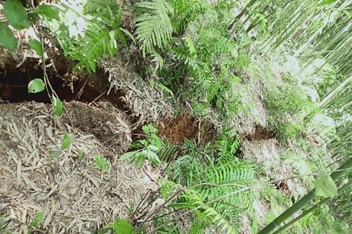 Lào Cai sơ tán nhiều hộ dân vì nguy cơ sạt lở đồi