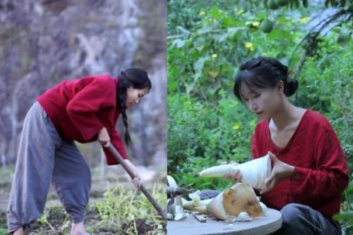 Kênh YouTube Việt Nam bị tố đạo nhái vlogger Trung Quốc Lý Tử Thất