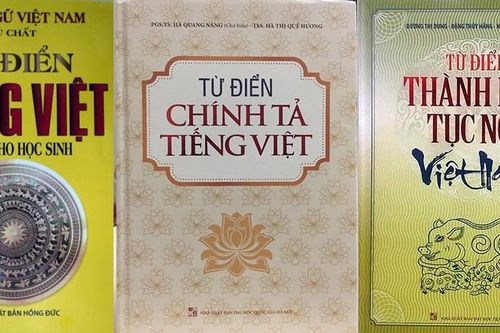 'Có từ điển xào xáo vô tội vạ, sai sót kinh hoàng'