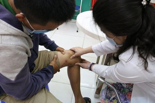 Kiến ba khoang tấn công người dân Sài Gòn đầu mùa mưa