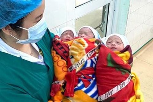 Ca sinh 3 cùng trứng hiếm gặp trên thế giới ở Tuyên Quang