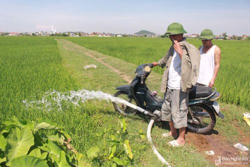 Nông dân Nghệ An biến xe máy thành bơm nước chống hạn