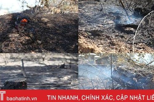 Xót xa nhìn 'lá phổi xanh' sau vụ cháy rừng ở huyện miền núi Hà Tĩnh