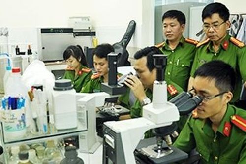 Những người giải mã bí ẩn