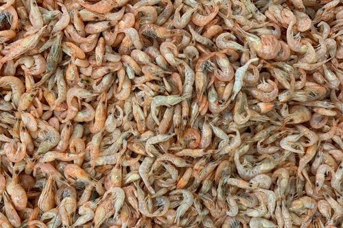 Sản xuất điện cực cho pin từ… vỏ tôm?
