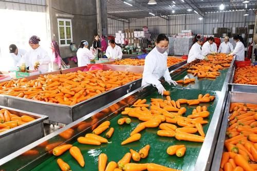 Đảm bảo quyền sở hữu trí tuệ giúp doanh nghiệp Việt vươn mình ra biển lớn