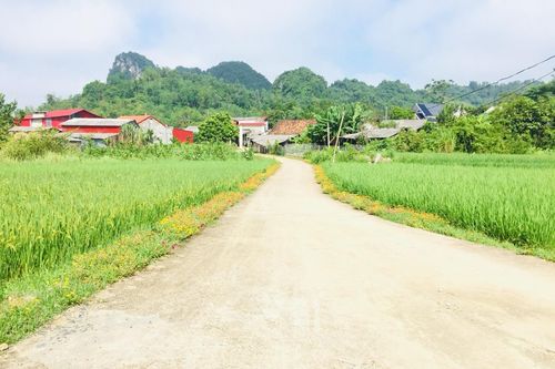 Bắc Kạn xây dựng nông thôn mới gắn với thực tiễn địa phương