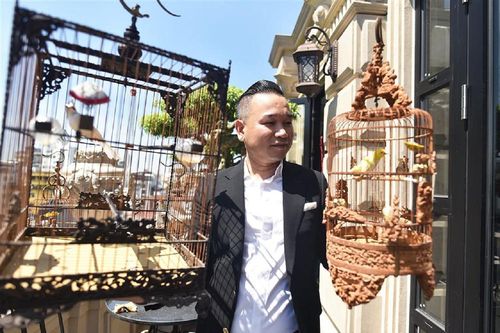 Đại gia Hà Nội gắn máy lạnh nuôi đàn chim quý 10 tỷ đồng