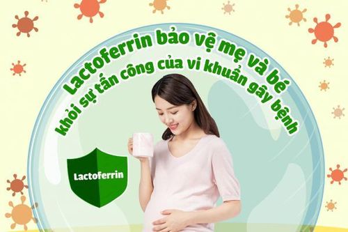 Lactoferrin và vai trò đối với hệ miễn dịch trong cơ thể