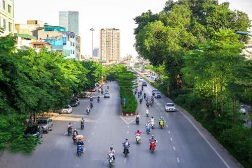 Kỳ tích vì một Hà Nội xanh: Trồng đã khó, giữ bền vững còn khó hơn