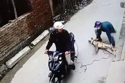 Người dân vây đánh nam thanh niên nghi trộm chó