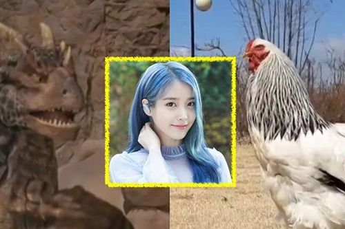 Thành công vô song của IU ở vai trò thần tượng được tiên đoán từ trước khi cô ra đời