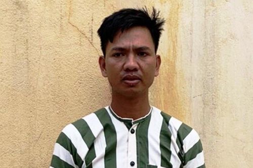Bắt thêm một đối tượng trong vụ phá rừng ở Kbang, Gia Lai