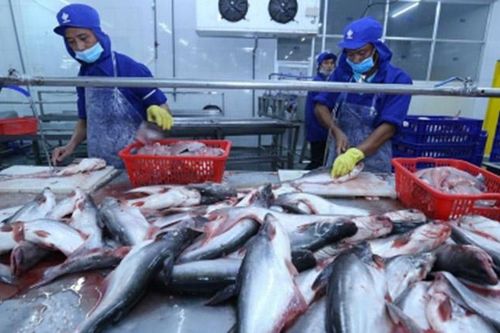 Chủ động ứng phó với các vụ kiện phòng vệ thương mại