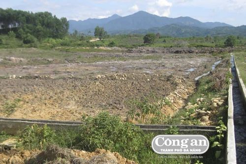 Dân khốn khổ vì thủy điện (Bài 1: 'Khát' đất sản xuất)