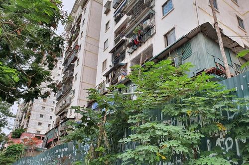 Tận thấy cảnh hoang tàn các khu nhà tái định cư ở Hà Nội