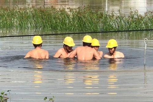 Nỗi lòng vợ thợ điện