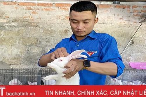 Ra mắt mô hình nuôi thỏ của bí thư chi đoàn ở thị xã Hồng Lĩnh