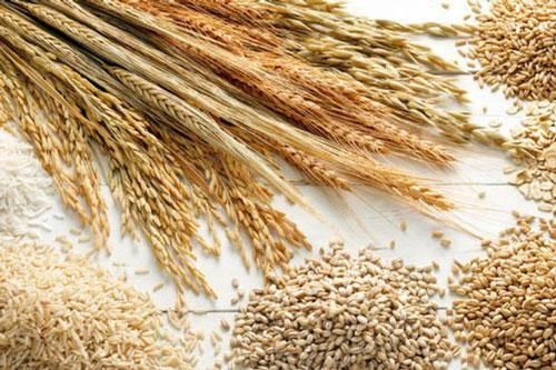 Giá lương thực, thực phẩm thế giới tăng lần đầu tiên trong năm nay