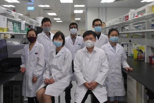 Startup về liệu pháp gene đầu tiên ở Đông Nam Á được nhận đầu tư 1.2 tỷ USD