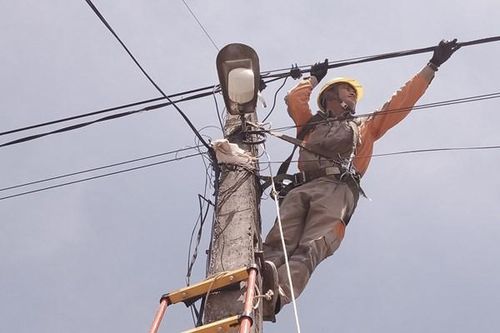 Điện lực miền Bắc kiểm tra sửa chữa kịp thời, tránh sự cố về điện