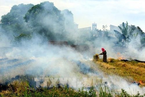 Mục tiêu 'Thành phố không đốt rơm rạ' của Hà Nội chưa thành hiện thực