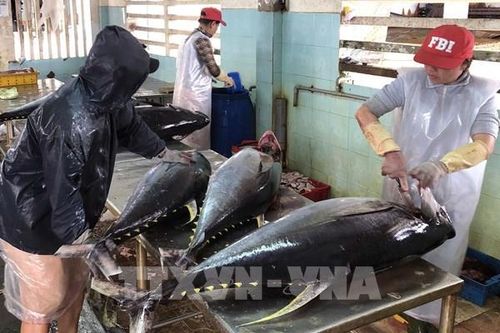 Bình Định hoàn thành các mục tiêu khắc phục cảnh báo 'thẻ vàng'