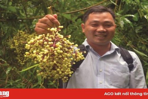 Hương vị rừng Bảy Núi