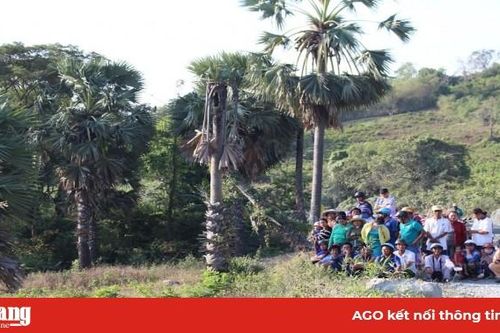 Tập trung ngăn ngừa tội phạm trên địa bàn huyện Tri Tôn