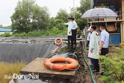 Tham quan khu xử lý chất thải sinh hoạt lớn nhất tỉnh